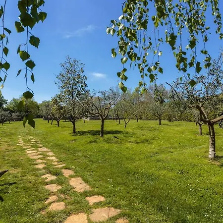 Casa Matiki Sonja Appartement Žminj